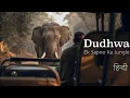 Lagu 'Dudhwa: Ek Sapno ka Jungle' | The Story of Dudhwa National Park | Full Documentary