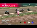 Race 26