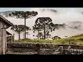 Download Lagu Serra Catarinense - a fruta do futuro | Globo repórter | 'Documentário'.