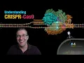 Download Lagu Understanding CRISPR-Cas9