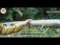 Download Lagu Benci Kusangka Sayang - Cut Rani (Official Music Video) | Music Aceh Official