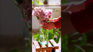 نقيلي أحلى زهرة   دندنها