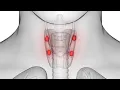 Parathyroidectomy CPT code - simplify medical coding