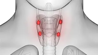 Parathyroidectomy CPT code - simplify medical coding