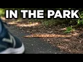 The Sneaky Slimy Serpents That s Quietly Taking Around Washington D C