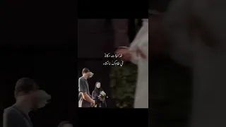 فى رفيفى أقول شعرا أنت بعد الأهل أهلا 