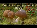 Download Lagu Prediction for September 2025 - A reading with Crystal Ball and Tarot