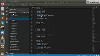 Angular 8 set up