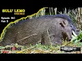 Lagu Berburu Babi Hutan di Desa BERURU Bulu' Lemo, Ep361