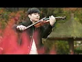 Lagu Castle in the Sky - Studio Ghibli - Violin Cover by Julien Ando
