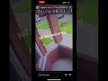 Bloodhound Lil jeff dying on a hit