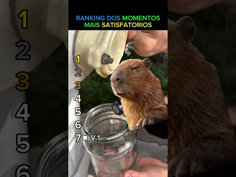 Ranking dos momentos mais satisfatorios