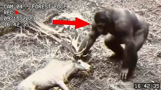 Shocking Trail Camera s That Left People In Disbelief