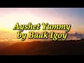 Ayshet Yummy by Shagem Official Lyric Video