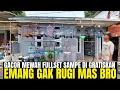 Download Lagu GAK BAHAYA TAH! BURUNG GACORAN MEWAH SEMUA DIJUAL FULLSET SAMPE ADA YG DI GRATISKAN! EMANG GAK RUGI?