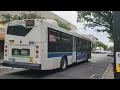 MTA NYCT on the Q55 to Richmond Hill Jamaica Avenue on Myrtle Avenue