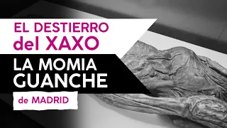 El destierro del XAXO: la MOMIA GUANCHE de Madrid