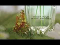 Lagu MARC JACOBS DAISY WILD