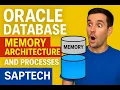 Oracle Database Architecture Memory Structures Background Processes Explained
