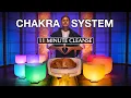 QUICK Full Nervous System Chakra Alignment 11 minute cleanse