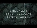 Download Lagu Sholawat Qolbi Muhammad - Tanpa Musik