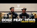 Lagu Dubdogz - Dogz feat. Dogs (Zee.Dog Temple, SP) @ Festa de Adoção