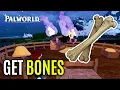 How to Get Bones in Palworld Full Guide