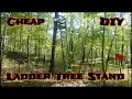 Cheap DIY Ladder Tree Stands 2x4 s