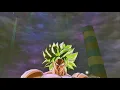 Dragon Ball Xenoverse 2 Customization Unlock Key Quest 10 PC Mod Gameplay