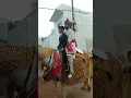 Download Lagu #shorts #shortsfeed #dulha #ghodi