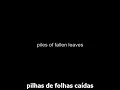 Passing Afternoon - Iron & Wine - legendado