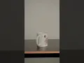 Download Lagu Ekspersikan semua kenanganmu dalam Mug Gelas cantik seperti ini  #shorts  #tasseminarpalupi