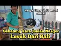 Download Lagu Nasi goreng Viral, Losuk yg tinggal sebatang kara.