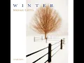 Aspens In January - Michael Gettel
