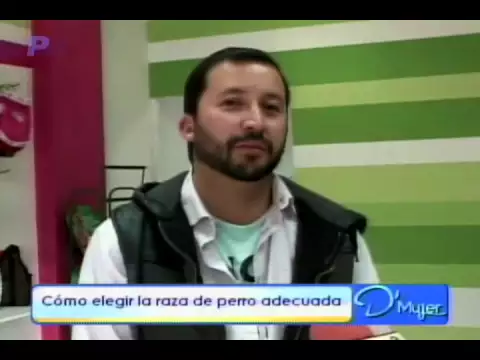 Cómo elegir la raza de perro adecuada