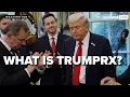 TrumpRX website promises direct drug discount as Pfizer leads the charge