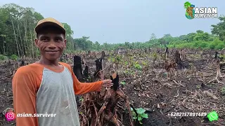LAHAN YANG TIDAK PRODUKTIF KEMBALI DIAKTIFKAN, JADI PELUANG USAHA BARU! CERITA PERANTAU KALIMANTAN