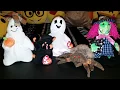 Halloween Ty Beanie Babies Collection 2018