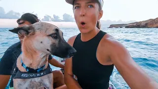 It Takes Guts to Sail OVERNIGHT with ONLY a Phone (No Autohelm or AIS) | BOAB 173