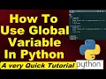 Python program using global variables Learning Python