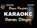 Download Lagu PANES DINGIN BAGUS PARIJATA - KARAOKE
