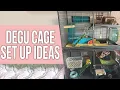 Download Lagu Degu Cage Set Up Ideas for Beginners