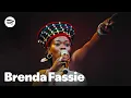 Lagu The Impact of Brenda Fassie | Spotify GLOW South Africa