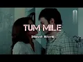 Tum Mile Lofi Song - Javed Ali🎵 #tummilesong #lofi