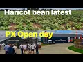 Download Lagu Farm update 371 Hericot beans, PX open day, pull wild oats in barley \u0026 Discovery screen replaced