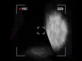 i brainwashed you to subscribe FOUND FOOTAGE