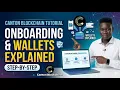Canton Blockchain Tutorial Onboarding Wallet Setup Explained How To Get Canton Wallet For Free