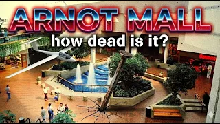 Is the Arnot Mall Dead 1 Million Square Feet of Retail History