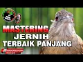 Lagu KAPAS TEMBAK GACOR JERNIH PANJANG MANTAP BANGET UNTUK MASTERAN SEMUA JENIS BURUNG KICAU ASLI MASUK