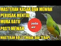 Download Lagu masteran roll tembak dilengkapi gemericik air